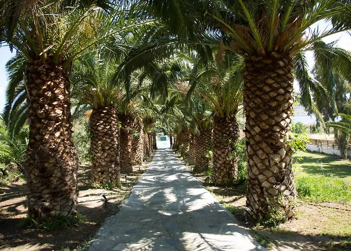 Clara Resort